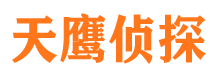 湘东侦探公司